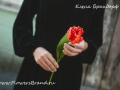 тюльпан